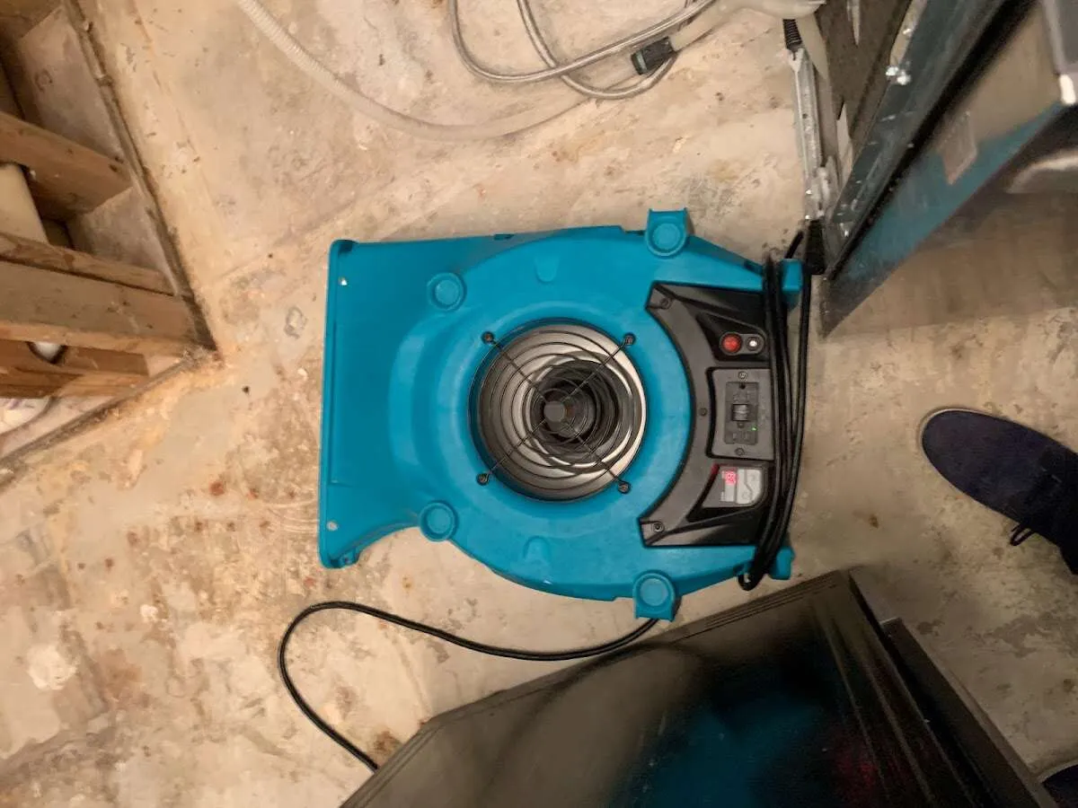 Air mover drying equipment for Mold Remediation & Removal in Maywood